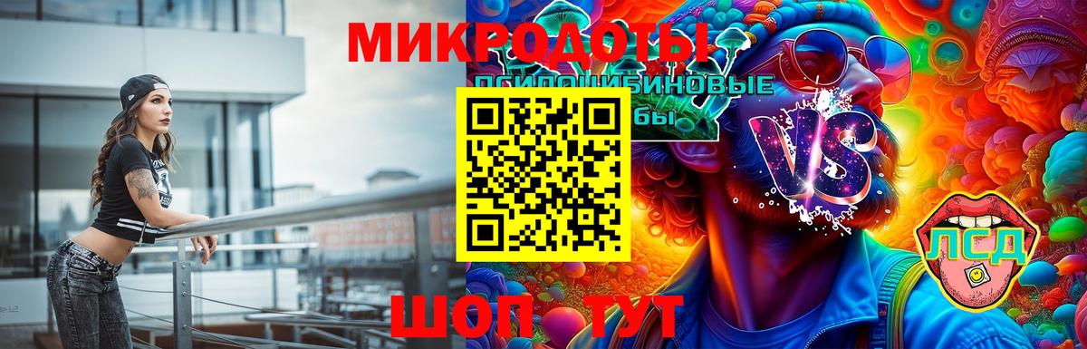 Галлюциногенные грибы Psilocybine cubensis  Вход с VPN  Кузнецк 